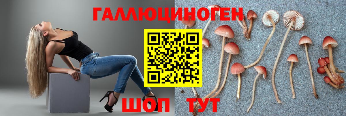Галлюциногенные грибы мухоморы  Вход с VPN  Котельники 